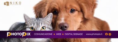 copertina pedigree copertina pedigree
